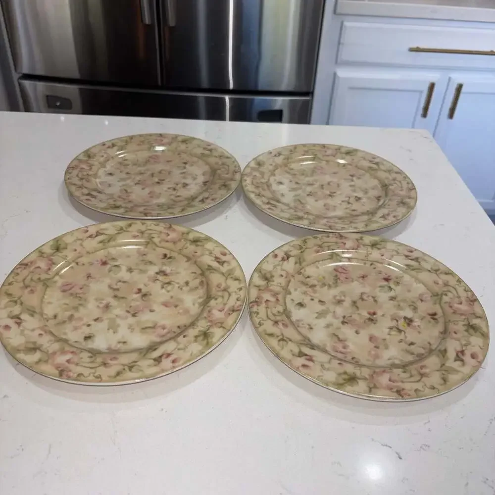 222 Fifth Savannah by Cheri Blum Stoneware Salad Plates Set of 4